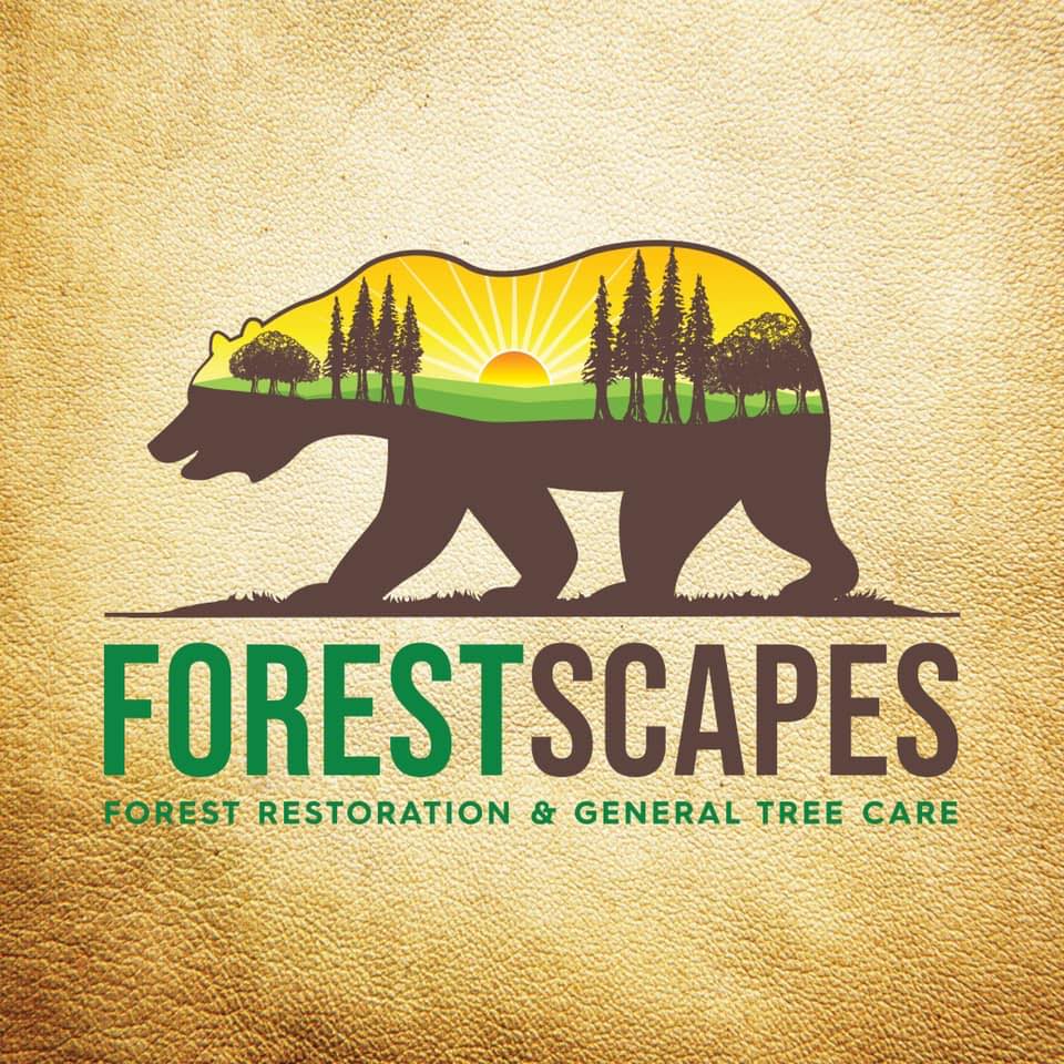 Forestscapes
