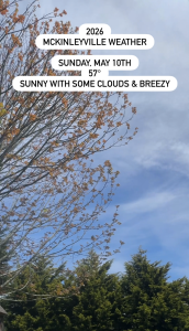 McKinleyville Weather Report – May 10, 2026 McKinleyville Weather update for Sunday, May 10th, 2026. The image shows a bright blue sky with wispy clouds through spring tree branches, noting a temperature of 57 degrees and breezy, sunny conditions in McKinleyville, CA.