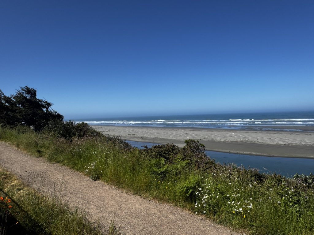 Coastal view from the Hammond Trail in McKinleyville with ocean, beach, greenery, and blue sky.