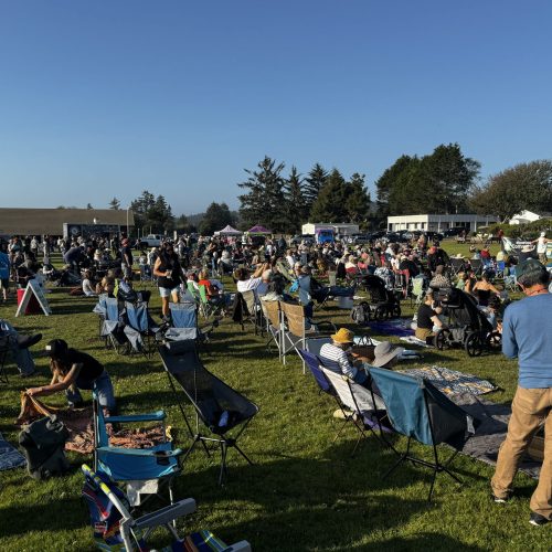 Community members gathered on the lawn at Music in the Park in McKinleyville.