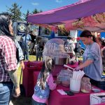 Cotton Candy and Festival Treats at Pony Express Days 2026 A young festival attendee orders cotton candy from a vendor booth during Pony Express Days in McKinleyville.