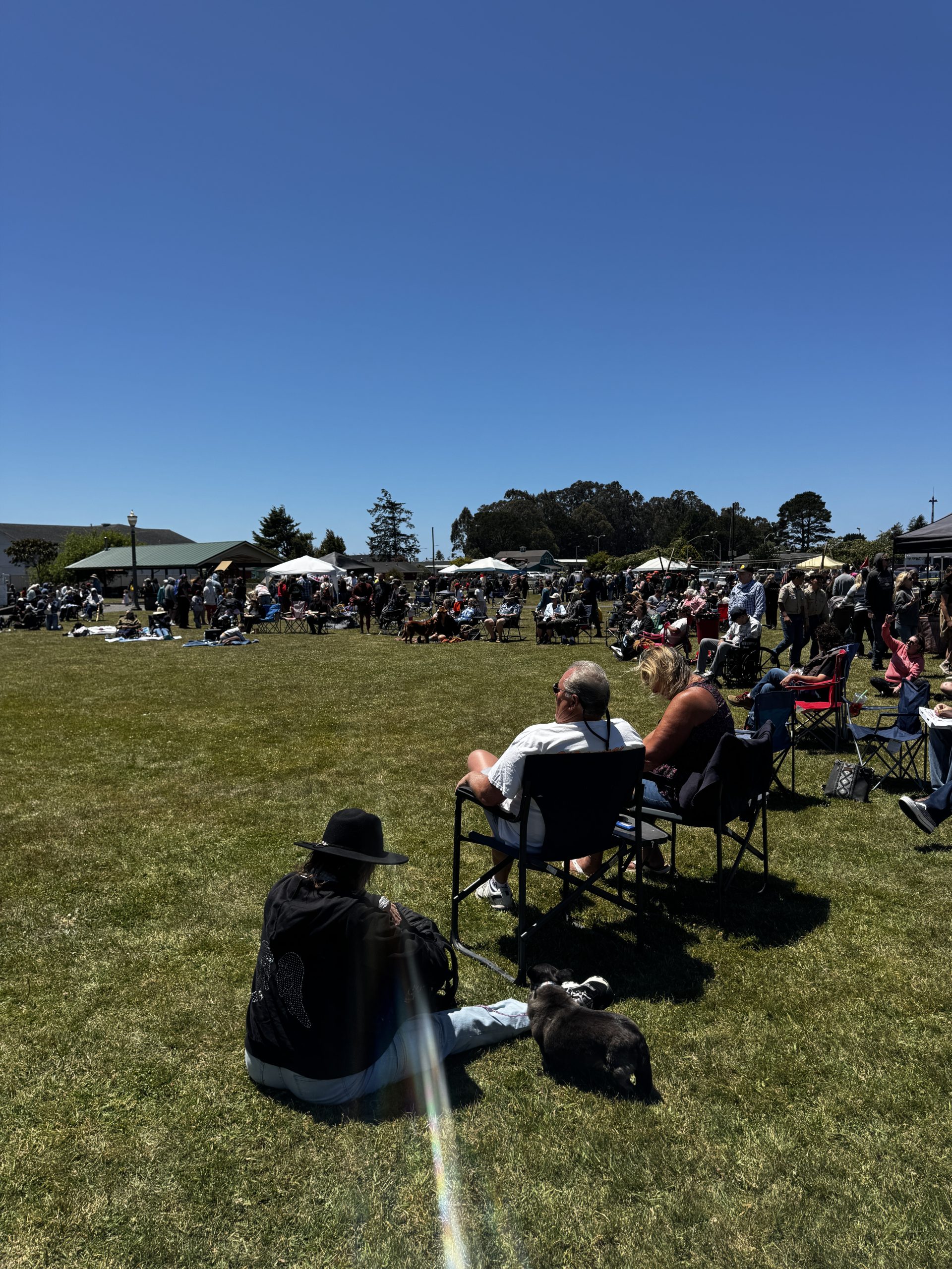 Families relax on the lawn and enjoy the Pony Express Days 2026 Festival at Pierson Park in McKinleyville.