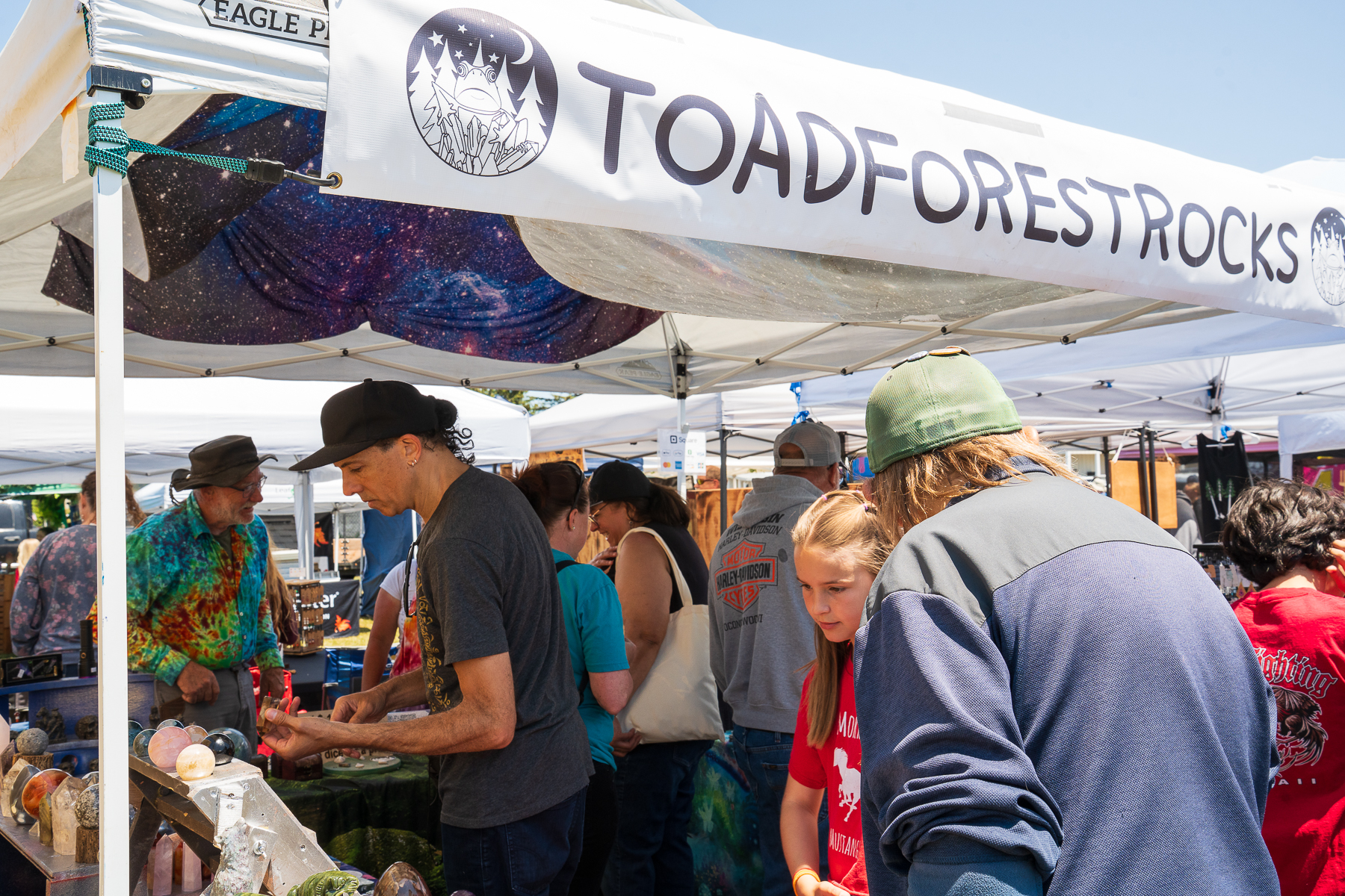 Pony Express Days Festival Vendors in McKinleyville Shoppers browse vendor booths at the Pony Express Days Festival in McKinleyville, California.