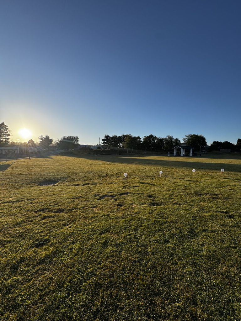 Pierson Park at sunrise with event signs placed in the grass before Pony Express Days begins.