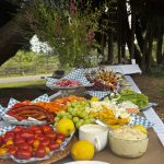 Fresh local food spread featuring fruits, vegetables, charcuterie, and appetizers at a McKinleyville community gathering surrounded by redwood trees.