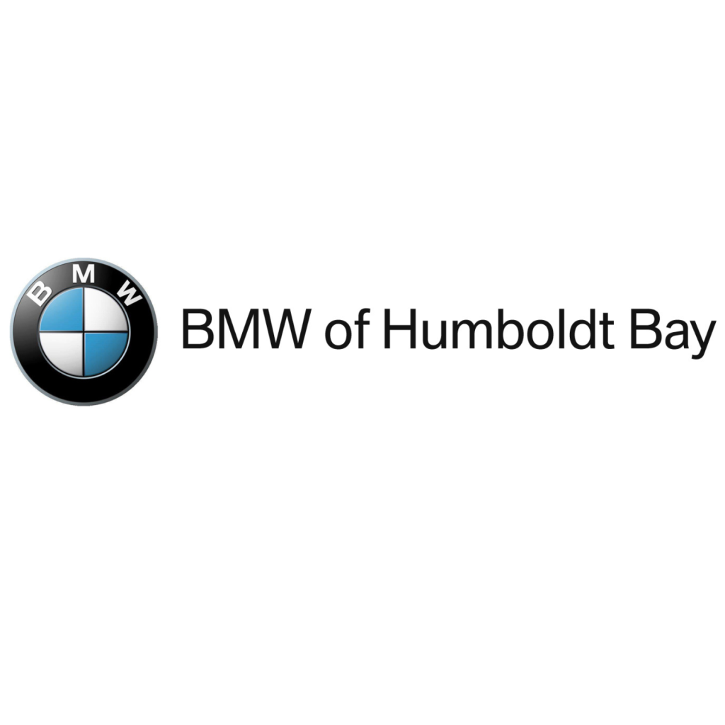 BMW logo