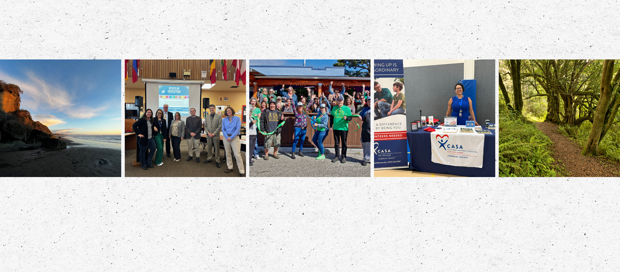 Member newsletter website header Collage of McKinleyville community members, local organizations, community events, and a redwood forest