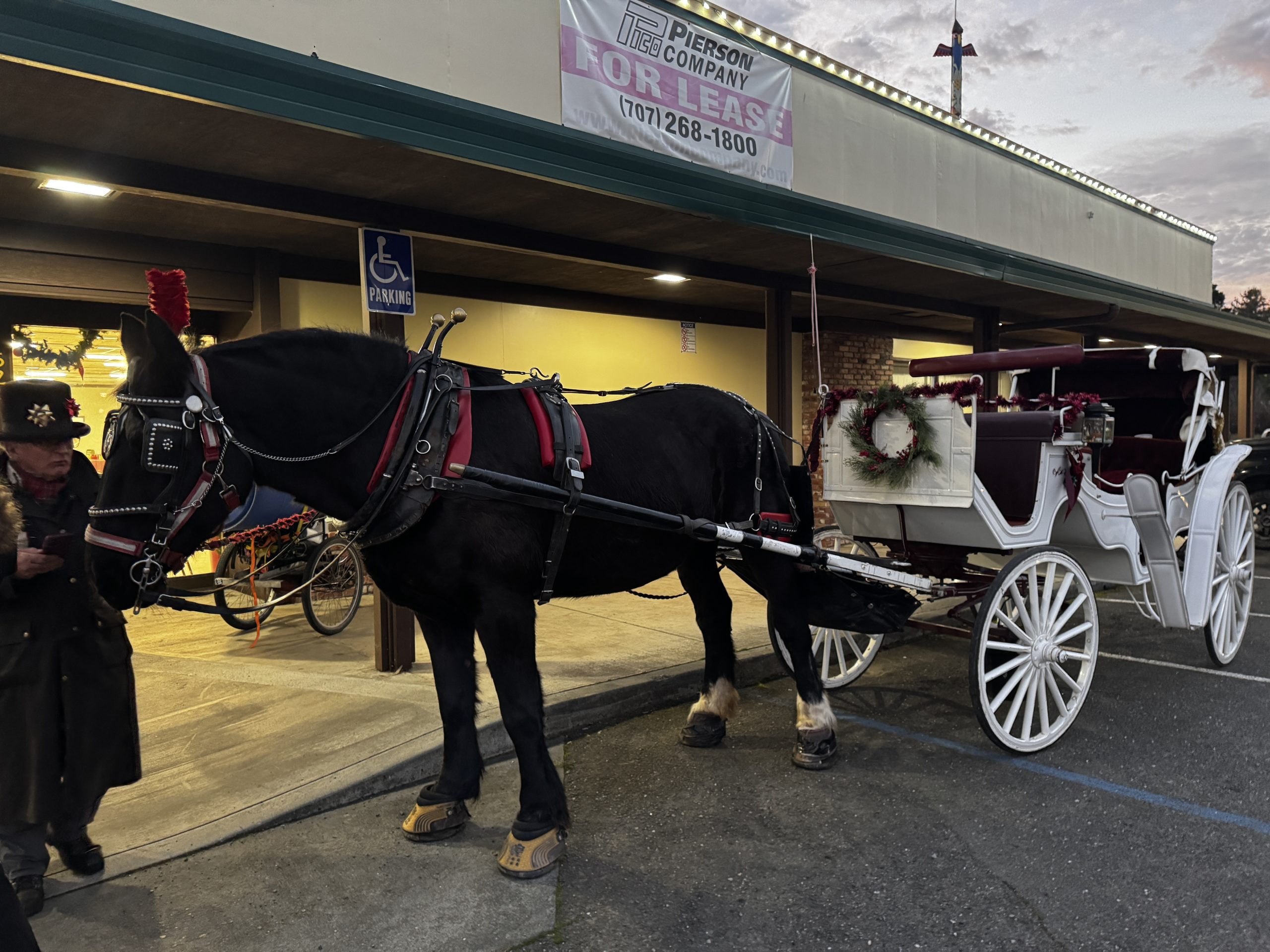 Horse and decorated white carriage outside local storefronts
